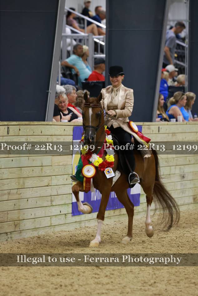 Proof 22R13_12199