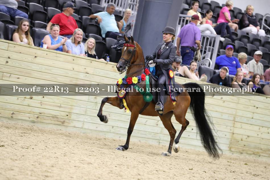 Proof 22R13_12203