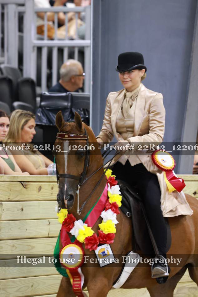 Proof 22R13_12206