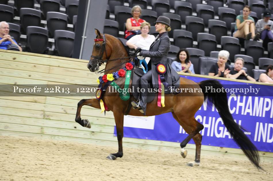 Proof 22R13_12207