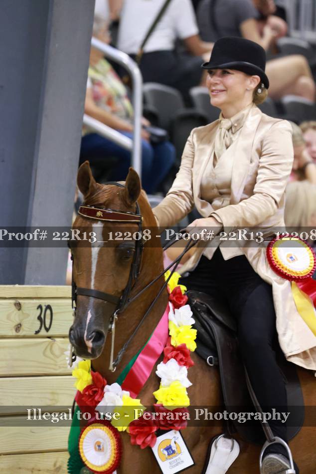 Proof 22R13_12208