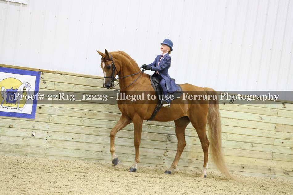 Proof 22R13_12223
