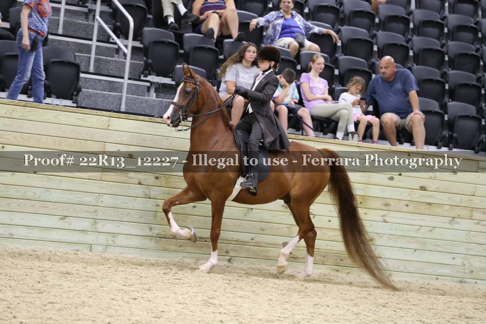 Proof 22R13_12227
