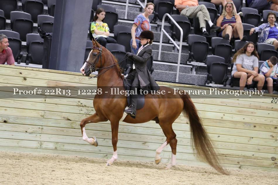 Proof 22R13_12228