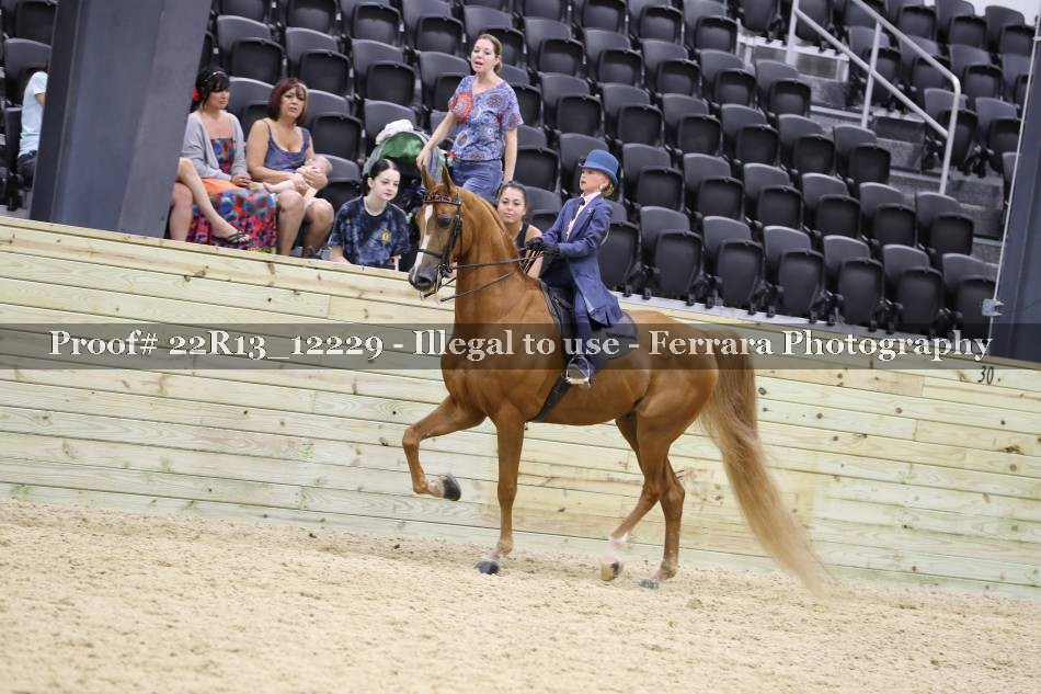 Proof 22R13_12229