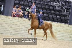 22R13_12229 proof