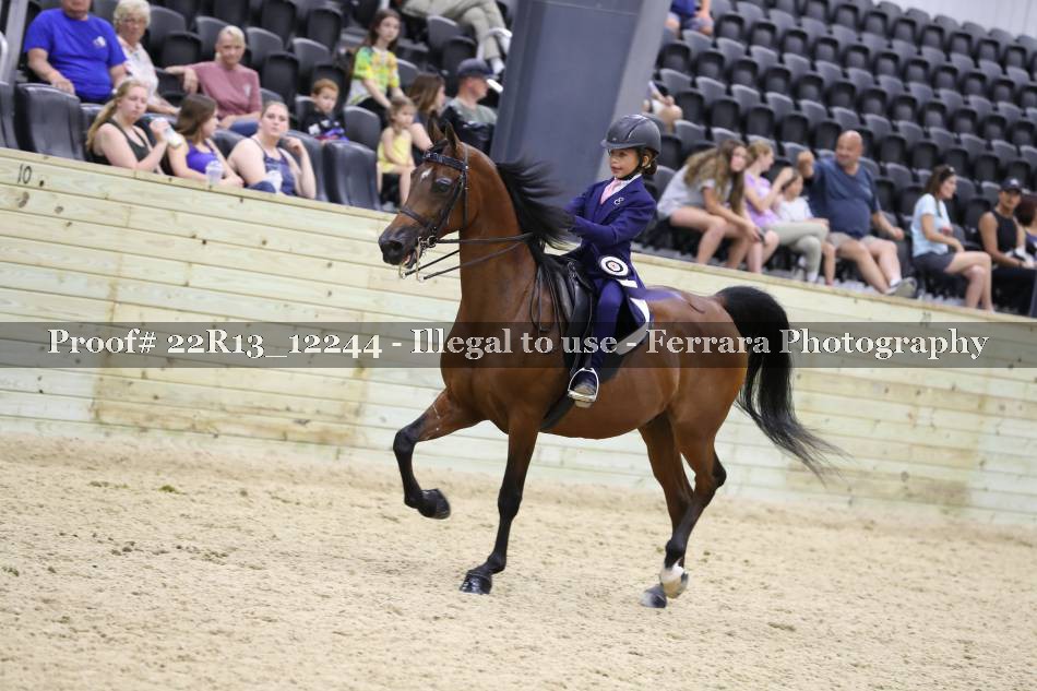 Proof 22R13_12244