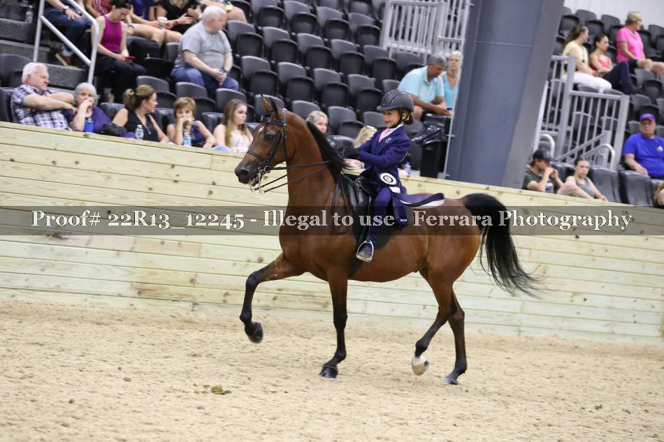 Proof 22R13_12245
