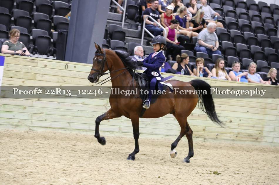 Proof 22R13_12246