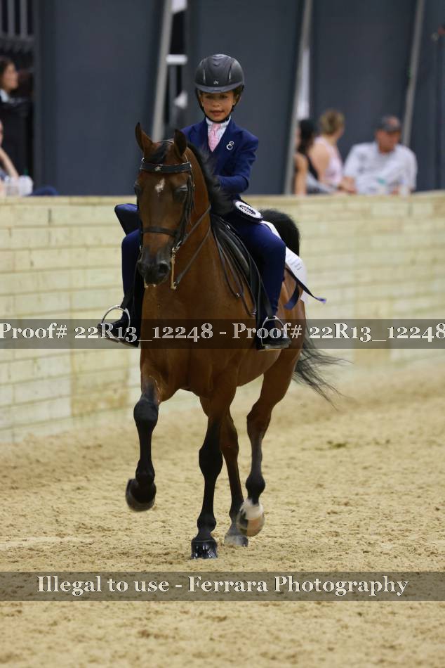 Proof 22R13_12248