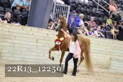 22R13_12250 proof