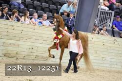 22R13_12251 proof