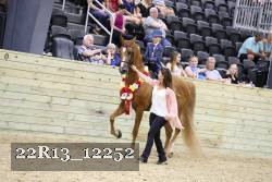 22R13_12252 proof
