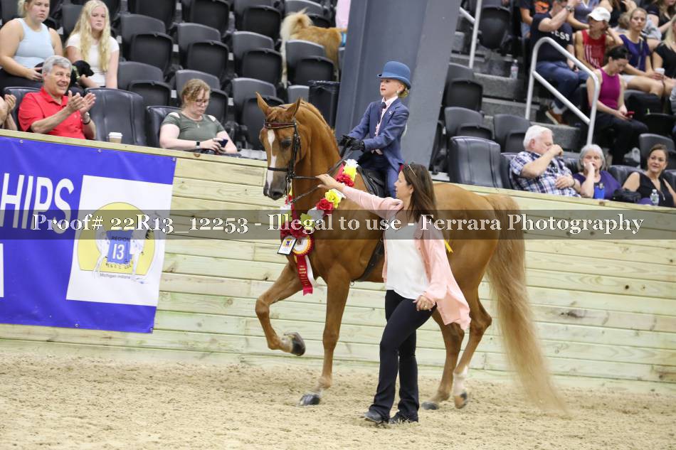Proof 22R13_12253