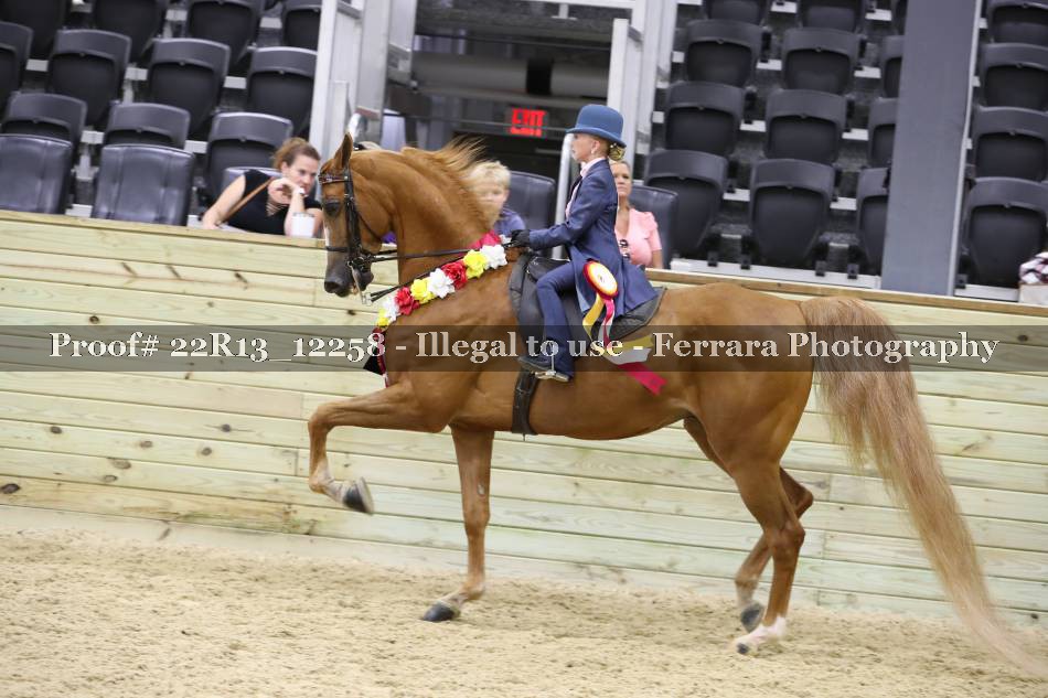 Proof 22R13_12258