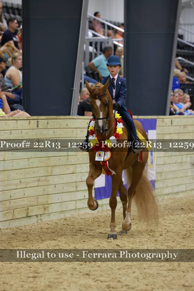 Proof 22R13_12259