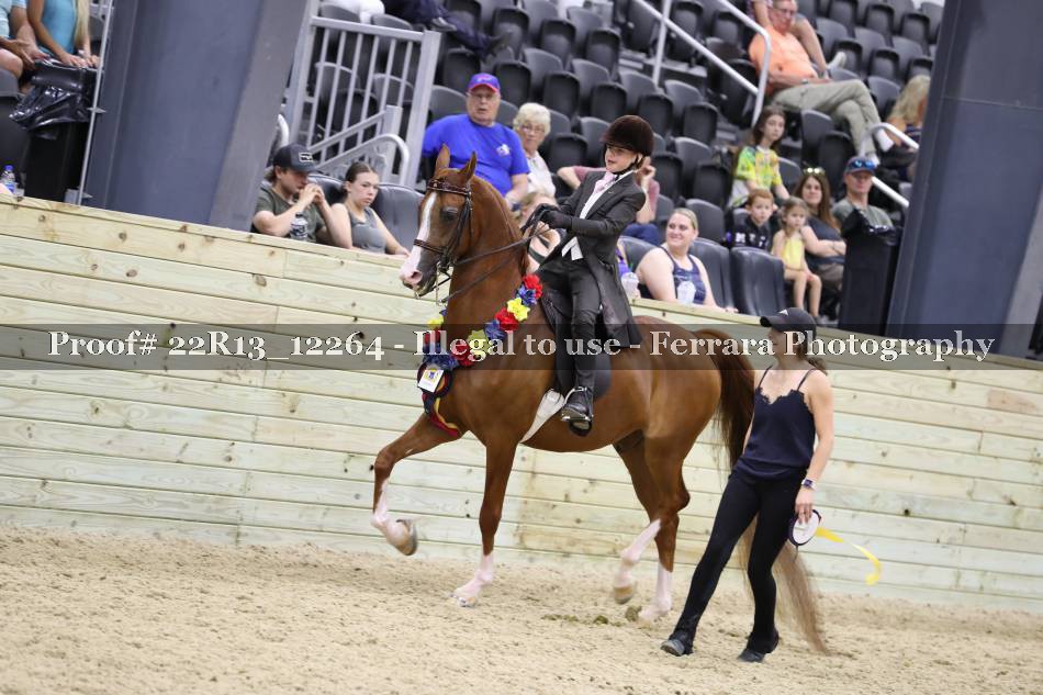 Proof 22R13_12264