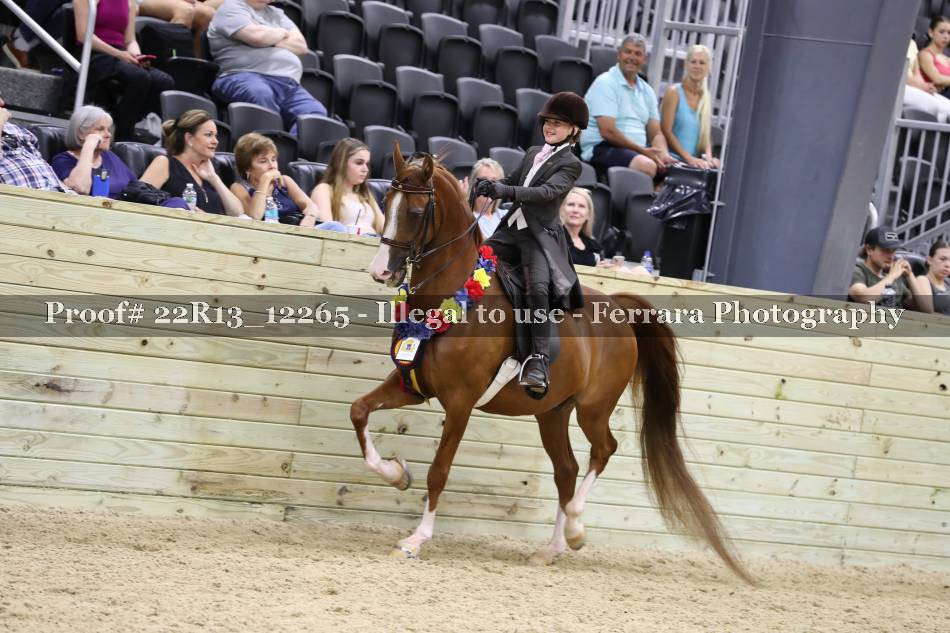 Proof 22R13_12265
