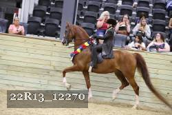 22R13_12270 proof