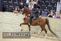 22R13_12271 proof