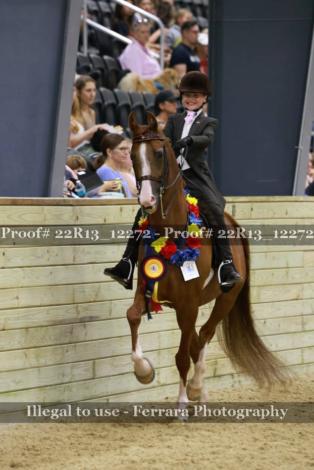 Proof 22R13_12272