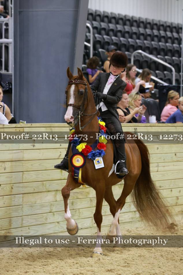 Proof 22R13_12273