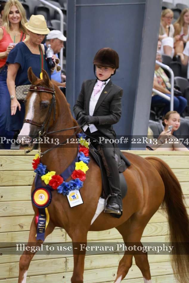 Proof 22R13_12274