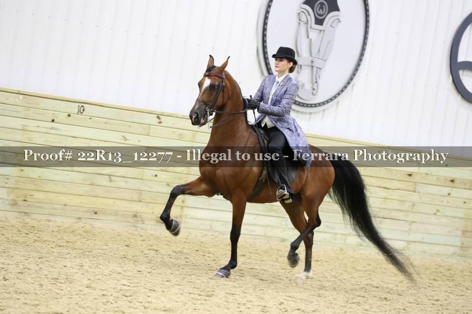 Proof 22R13_12277