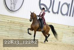 22R13_12282 proof