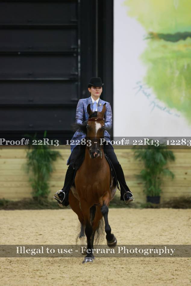 Proof 22R13_12283