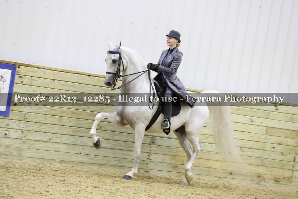 Proof 22R13_12285