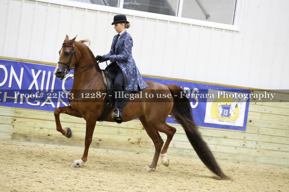 Proof 22R13_12287