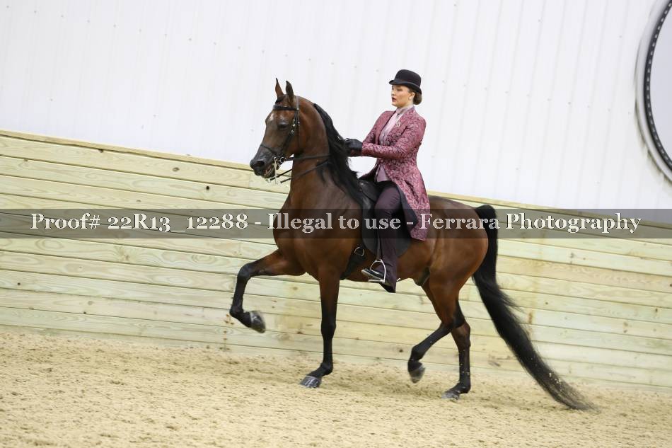 Proof 22R13_12288