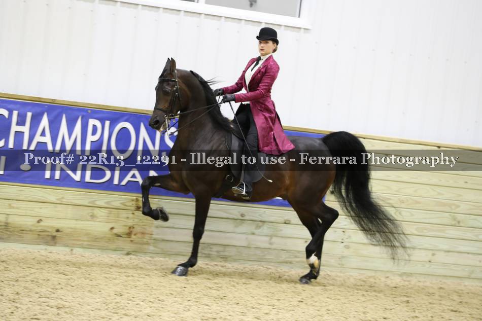 Proof 22R13_12291