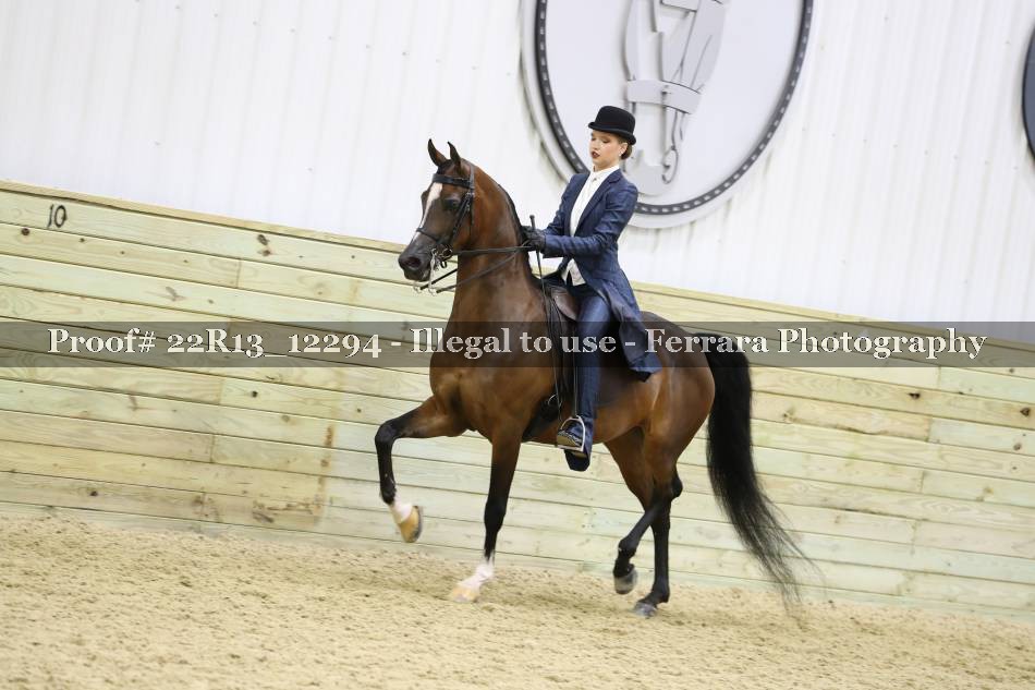 Proof 22R13_12294