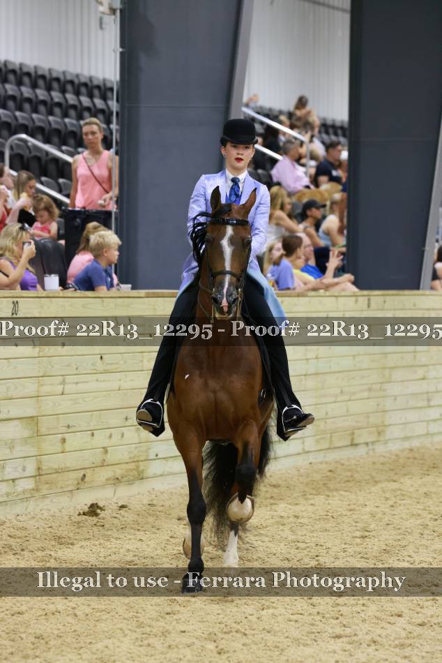 Proof 22R13_12295