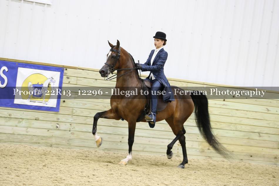 Proof 22R13_12296