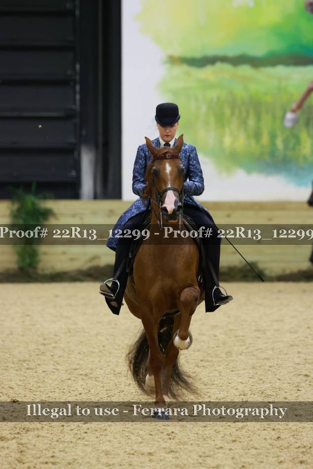 Proof 22R13_12299
