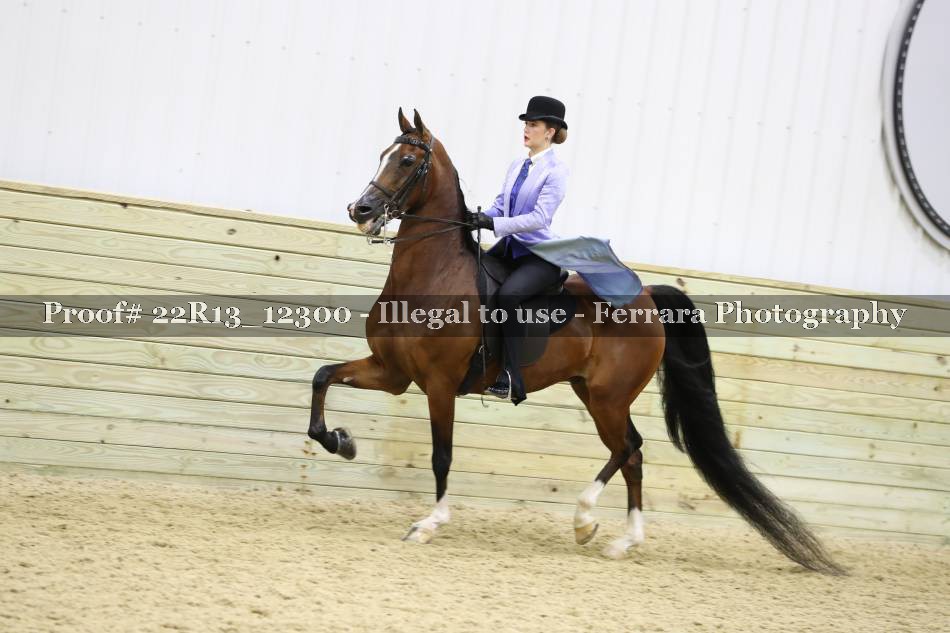 Proof 22R13_12300