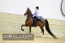 22R13_12300 proof