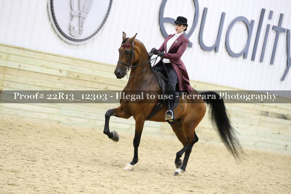 Proof 22R13_12303