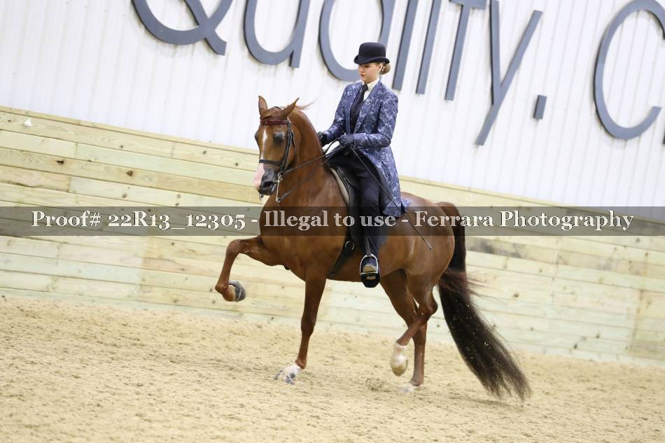 Proof 22R13_12305