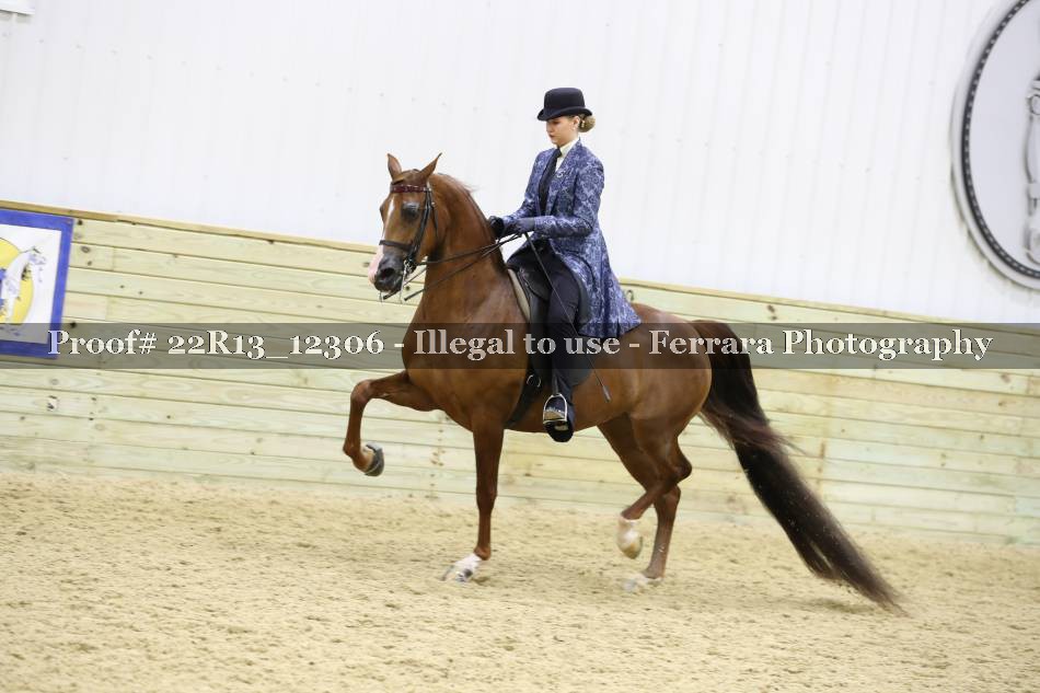 Proof 22R13_12306