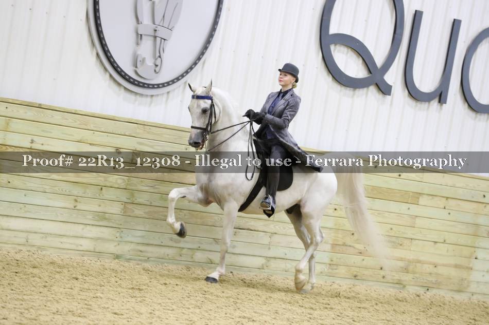 Proof 22R13_12308