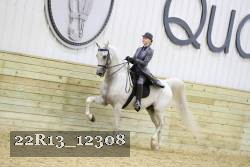 22R13_12308 proof
