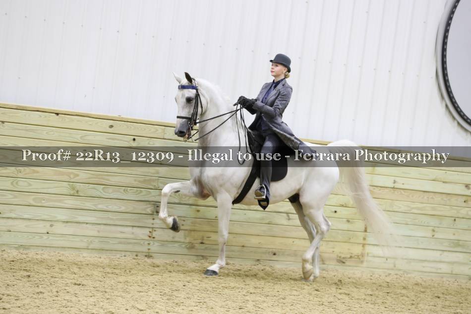 Proof 22R13_12309