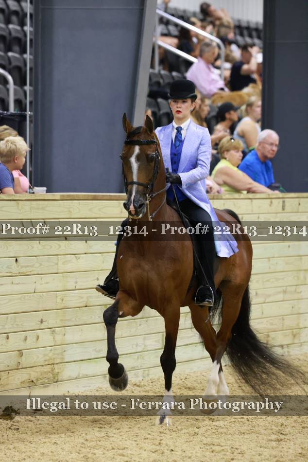 Proof 22R13_12314