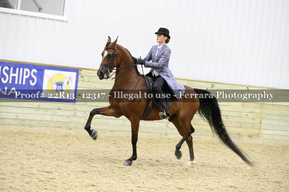Proof 22R13_12317