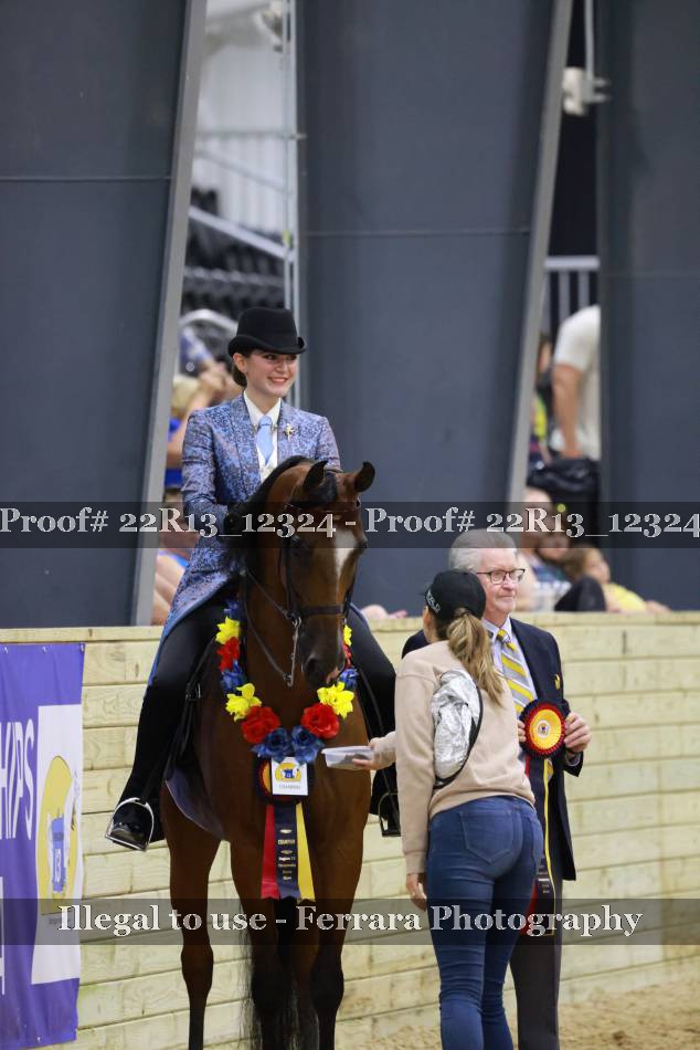 Proof 22R13_12324