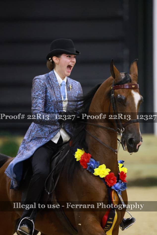 Proof 22R13_12327